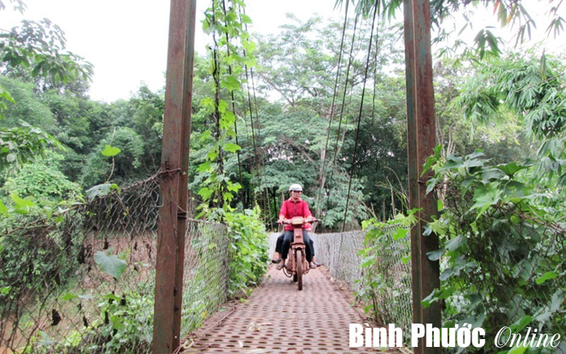 Đa số cầu dân sinh không đảm bảo yêu cầu kỹ thuật Đa số cầu dân sinh không đảm bảo yêu cầu kỹ thuật
