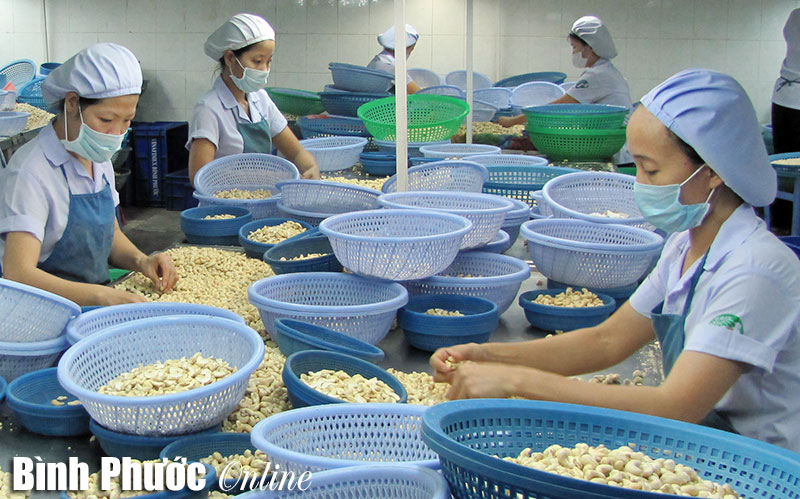 Triển khai xây dựng kế hoạch KT-XH giai đoạn 2016-2020 Triển khai xây dựng kế hoạch KT-XH giai đoạn 2016-2020