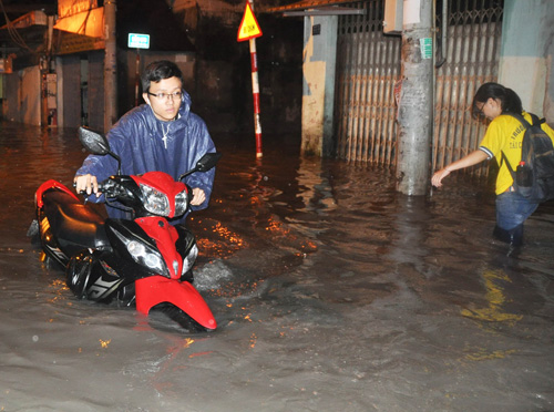 trieucuongd.jpg