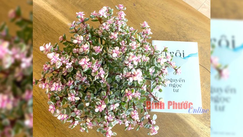 Trôi - Làm chủ đời mình hay phó mặc cho số phận?