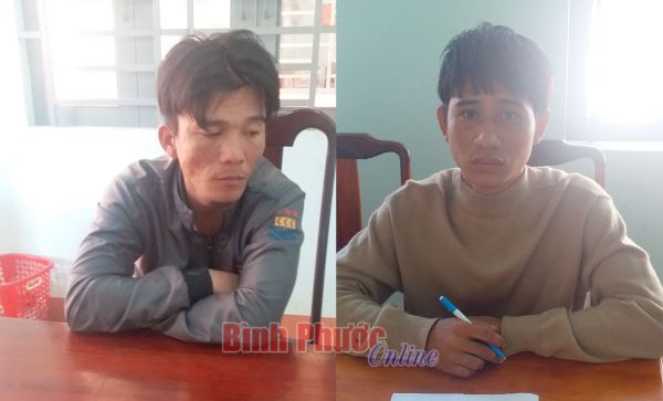 Vào rẫy trộm hạt điều, khiêng luôn xe đạp điện Vào rẫy trộm hạt điều, khiêng luôn xe đạp điện