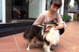 trongchomeo.jpg