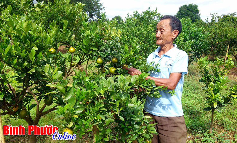 Chuyện về người 33 năm canh giấc cho đồng đội