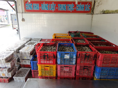 Bắt giữ hơn 218.000 quả trứng cút không rõ nguồn gốc Bắt giữ hơn 218.000 quả trứng cút không rõ nguồn gốc