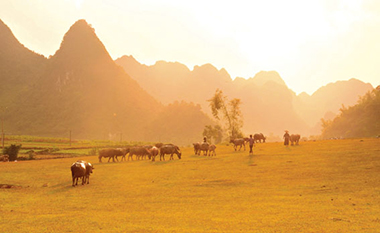 trungkhanh3.jpg