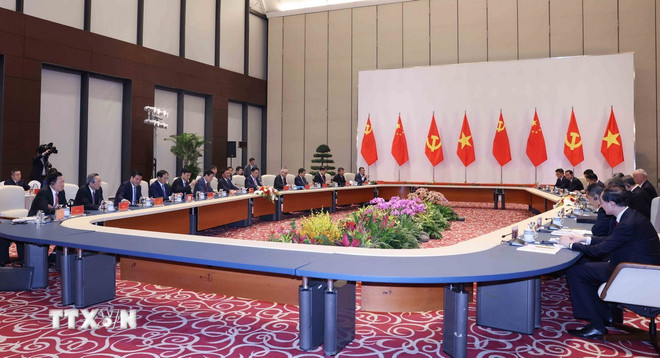 ttxvn-1504-tran-cam-tu-2.jpg