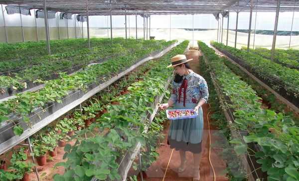 Cách mạng 4.0 trong nông nghiệp: Đi tìm cách tiếp cận hợp lý