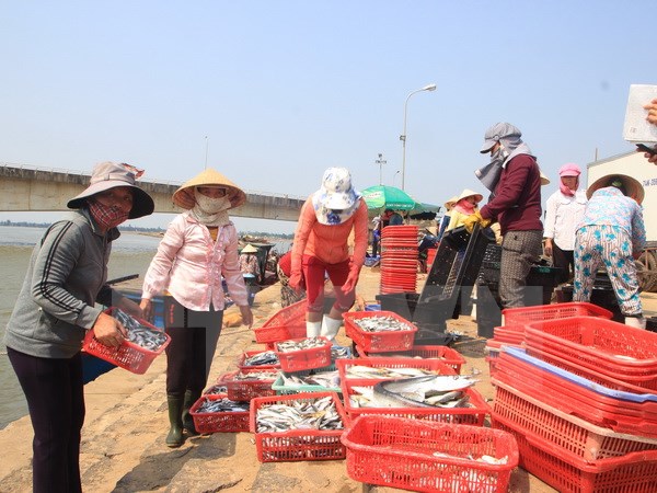 Giải đáp những khúc mắc giúp tiêu thụ hải sản đánh bắt an toàn