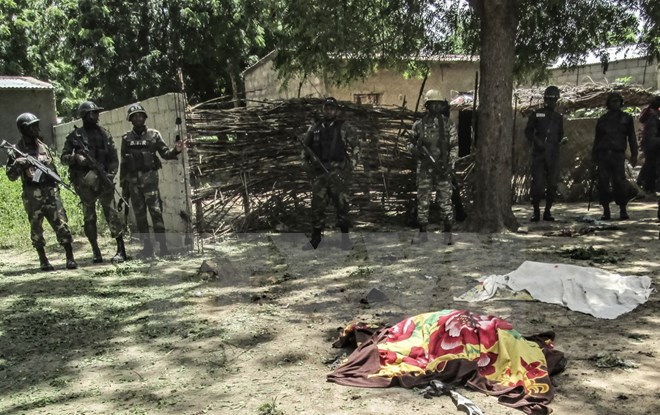 ttxvn_29112015Cameroon.jpg