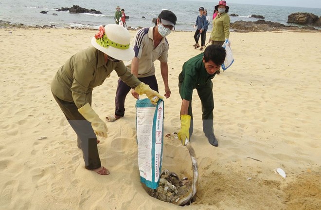 Vụ cá chết: Đoàn chuyên gia quốc tế đã vào Vũng Áng truy tìm độc tố