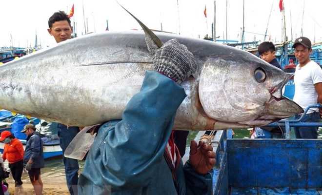 10 năm Chiến lược biển: Hiệu quả từ phát triển nguồn nhân lực 10 năm Chiến lược biển: Hiệu quả từ phát triển nguồn nhân lực