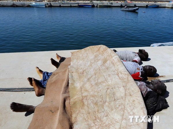 Chìm tàu ngoài khơi Libya, hàng chục người chết và mất tích