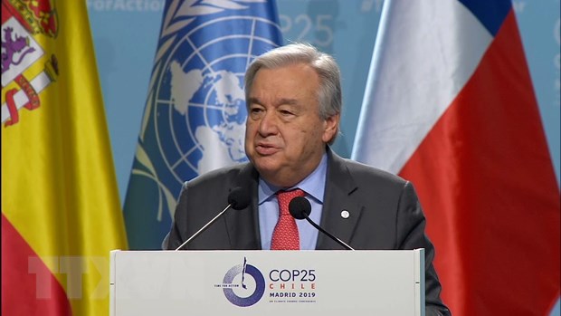ttxvncop25216122019021524.jpg