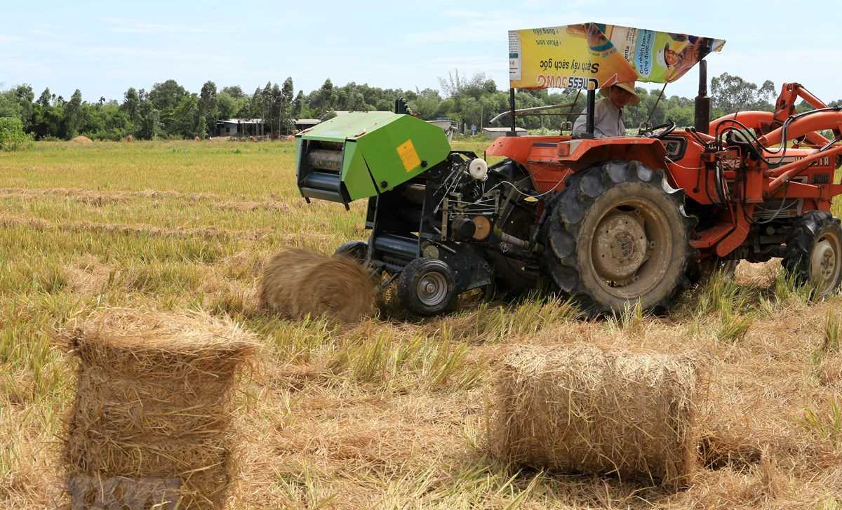 Giải pháp hữu hiệu giúp nông dân xử lý rơm rạ sau thu hoạch