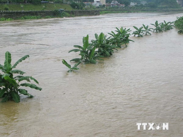 Một cô giáo bị thiệt mạng vì mưa lũ cuốn trôi
