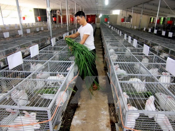Nghị quyết về Kế hoạch phát triển kinh tế-xã hội 2016-2020