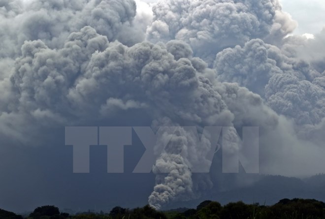 ttxvnnuilua02102016013638.jpg