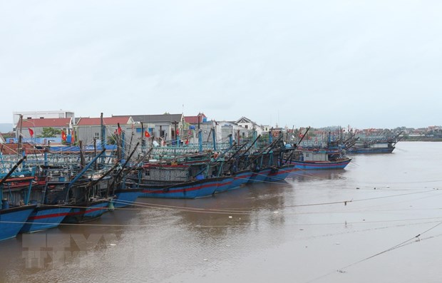 ttxvnphongchongbao15102020072032.jpg