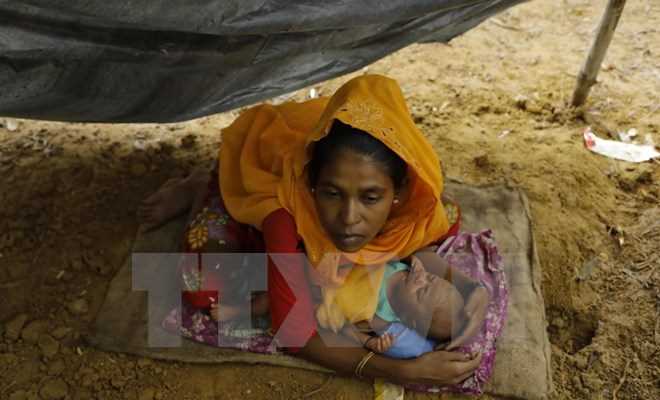 Australia cam kết viện trợ 5 triệu AUD cho người Rohingya Australia cam kết viện trợ 5 triệu AUD cho người Rohingya