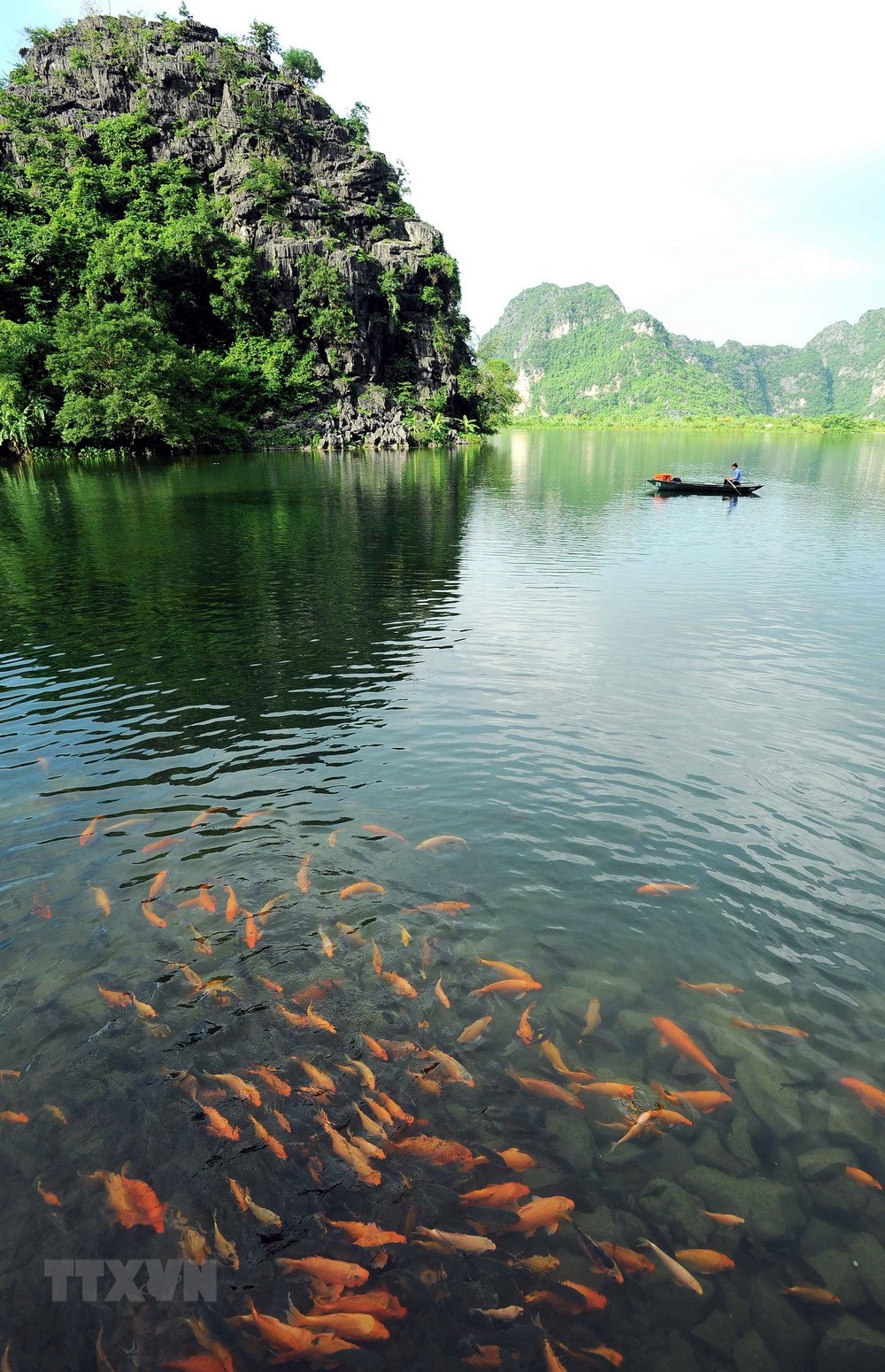 ttxvntrangan4220022018051955.jpg