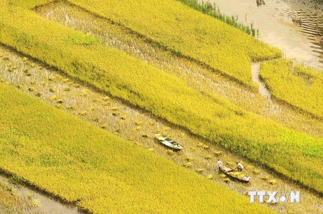 ttxvntrangan614072014050626.jpg