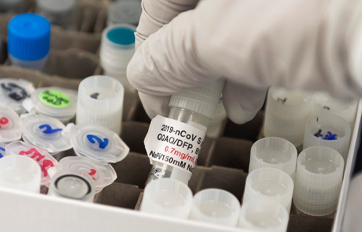 ttxvnvaccinenguacovid19040904092020032444.jpg