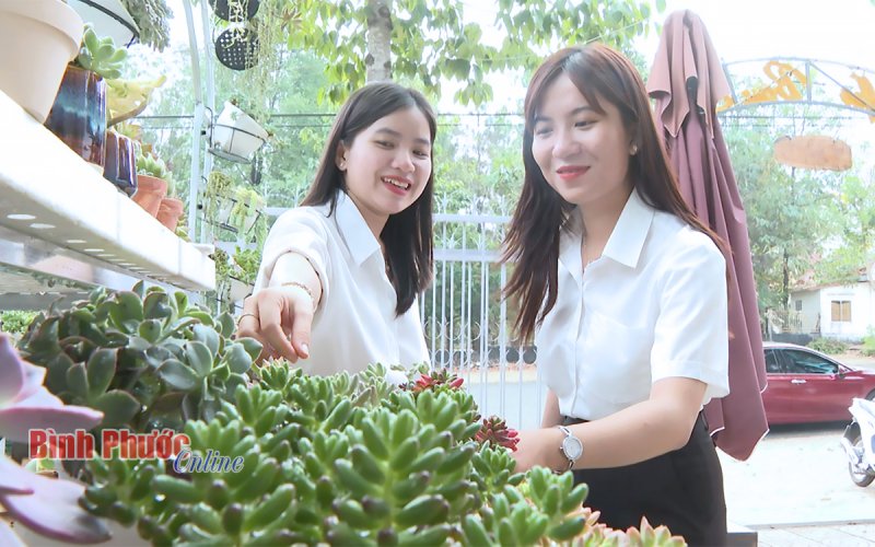 Từ đam mê đến mô hình kinh doanh độc đáo Từ đam mê đến mô hình kinh doanh độc đáo