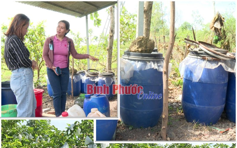 Tự ủ phân hữu cơ - giảm chi phí, tăng hiệu quả Tự ủ phân hữu cơ - giảm chi phí, tăng hiệu quả