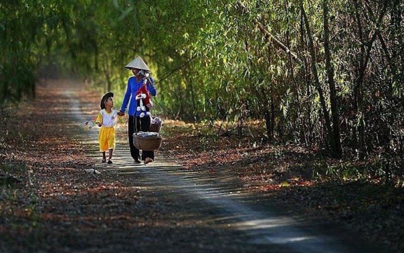 Tuổi thơ bên mẹ