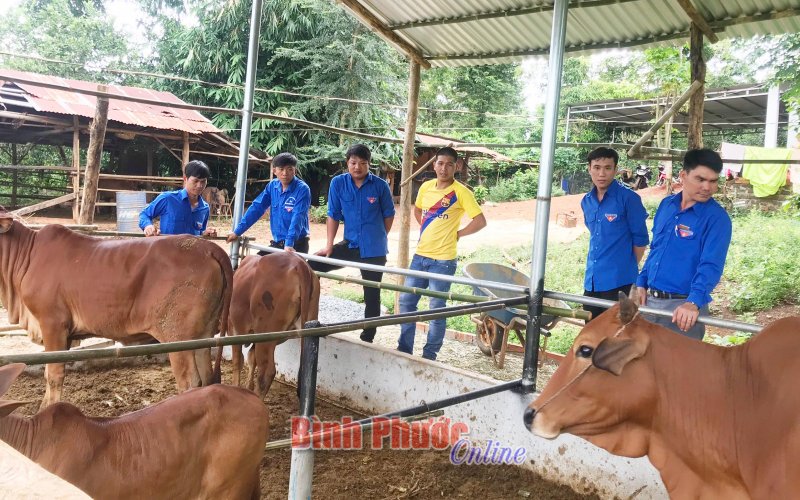 Tuổi trẻ Long Bình xung kích xây dựng nông thôn mới Tuổi trẻ Long Bình xung kích xây dựng nông thôn mới