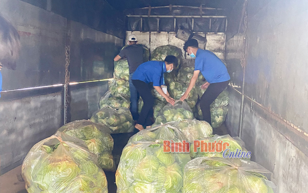 tuoi_tre_phuoc_long_4_17154828082021.jpg
