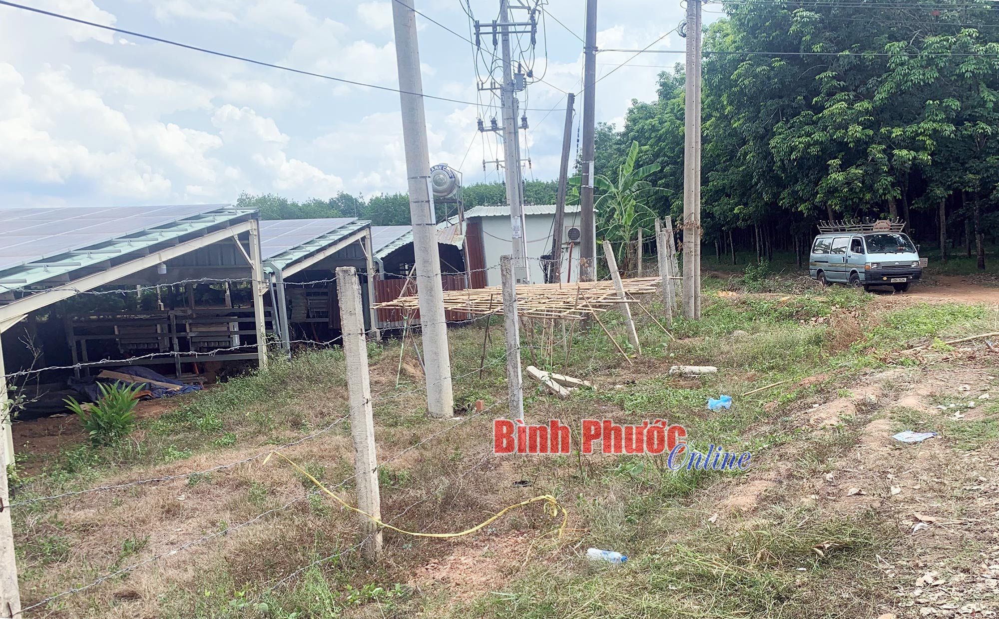 tuvong2_10552910052023.jpg