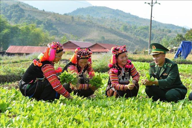 tuyen_giao_31723c_15483931072023.jpg
