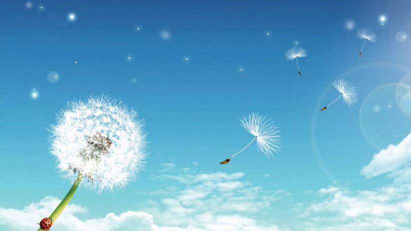 Ðủ yêu thương, hạnh phúc vẫn đong đầy