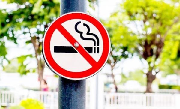 Thực hiện môi trường không khói thuốc tại các cơ sở giáo dục Thực hiện môi trường không khói thuốc tại các cơ sở giáo dục
