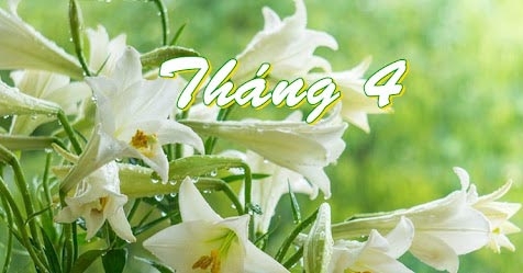 unnamed_23090528042025.jpg