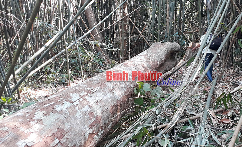 uoirung203052018040405.jpg