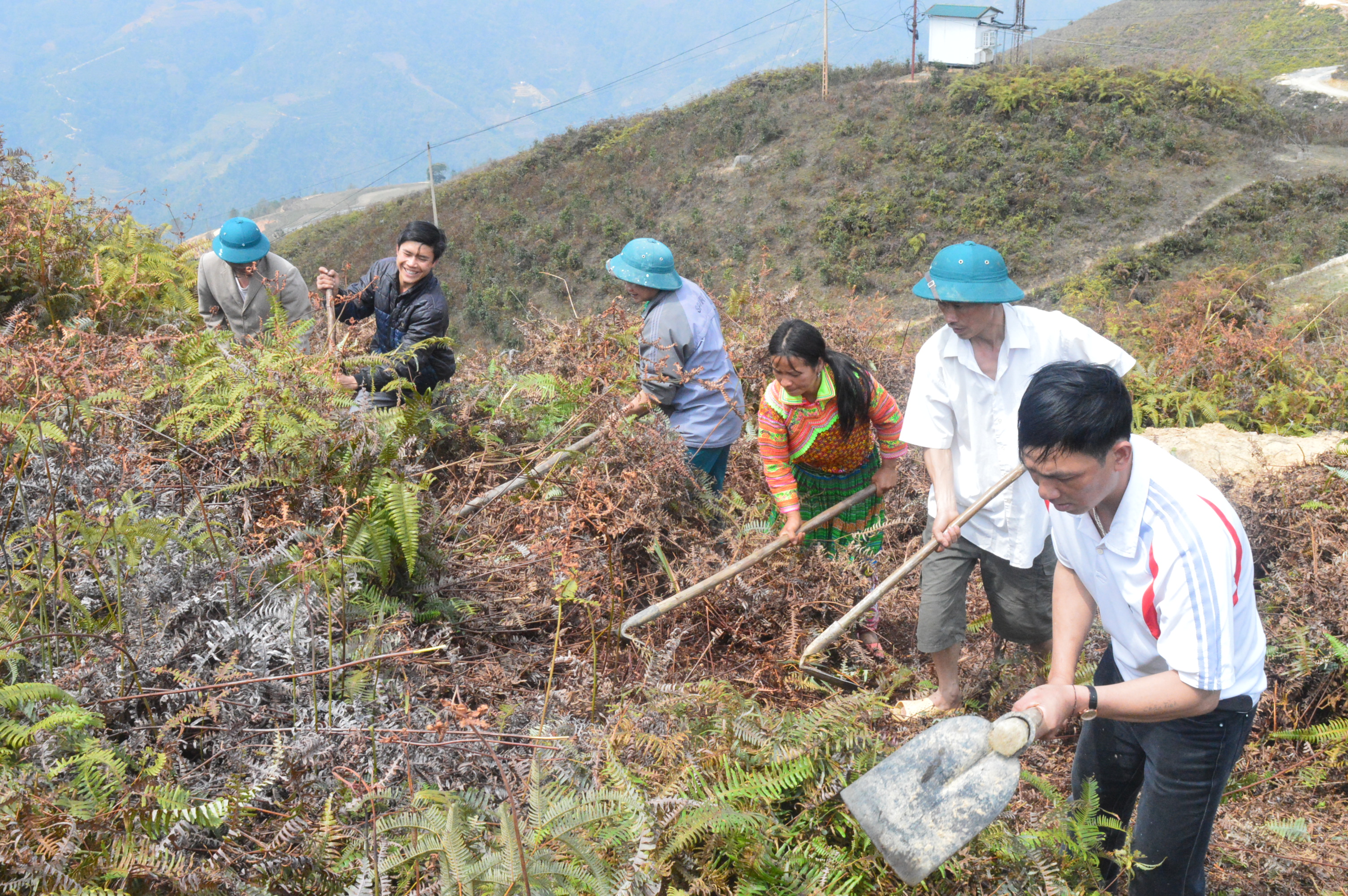Thực hiện ngay các biện pháp phòng, chống cháy rừng Thực hiện ngay các biện pháp phòng, chống cháy rừng