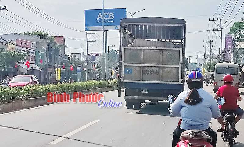 Xe chở gia súc gây hôi thối Xe chở gia súc gây hôi thối