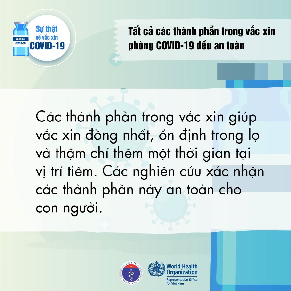 vaccine_su_that_6_15490724062021.jpg