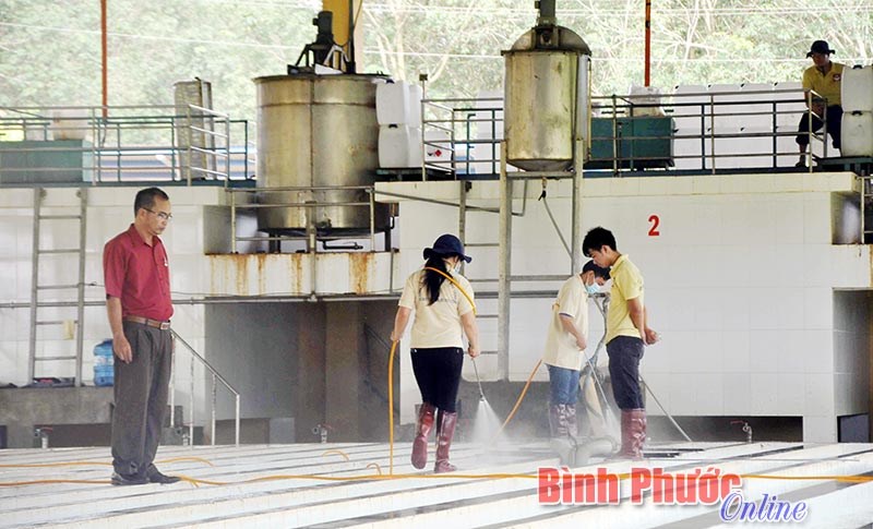 “Vàng trắng” nơi biên giới “Vàng trắng” nơi biên giới