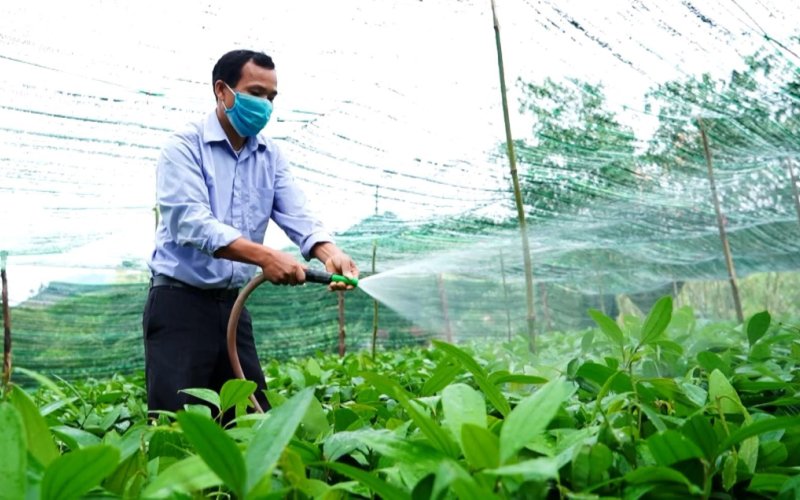 Vì một Quảng Ninh xanh Vì một Quảng Ninh xanh