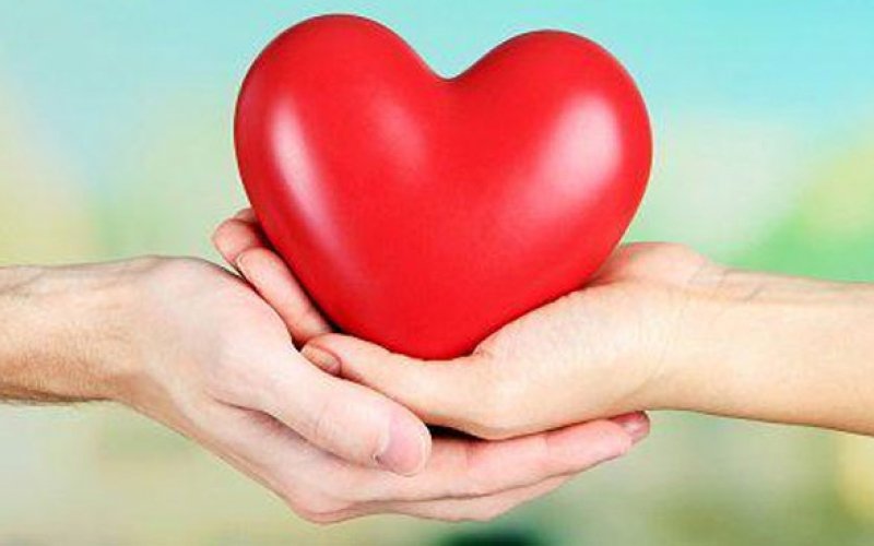Vị ngọt của tình người