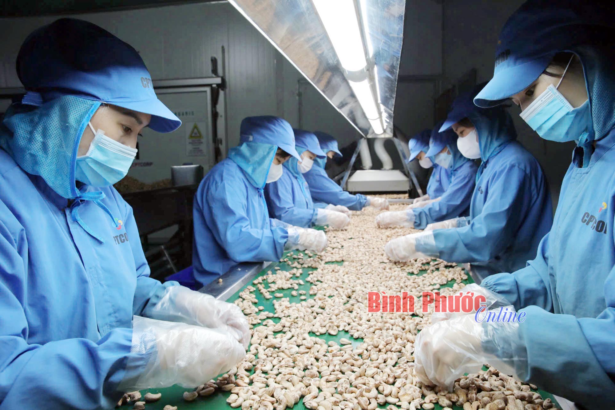Vị tết, tình quê Vị tết, tình quê