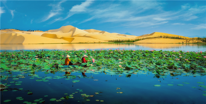 viet-nam-1210072018103701.png