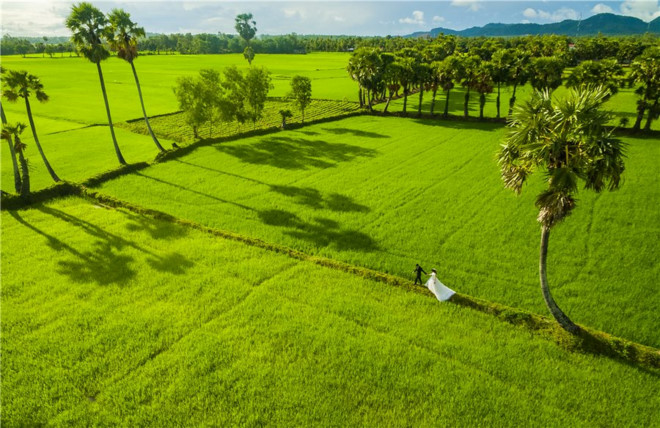 viet-nam-810072018103701.jpg