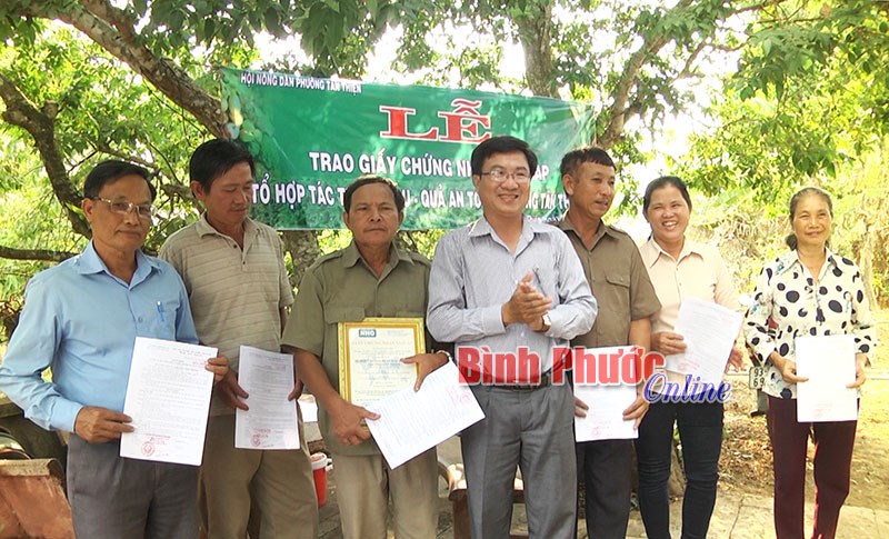 Trao giấy chứng nhận VietGAP cho tổ sản xuất rau an toàn ở Tân Thiện Trao giấy chứng nhận VietGAP cho tổ sản xuất rau an toàn ở Tân Thiện