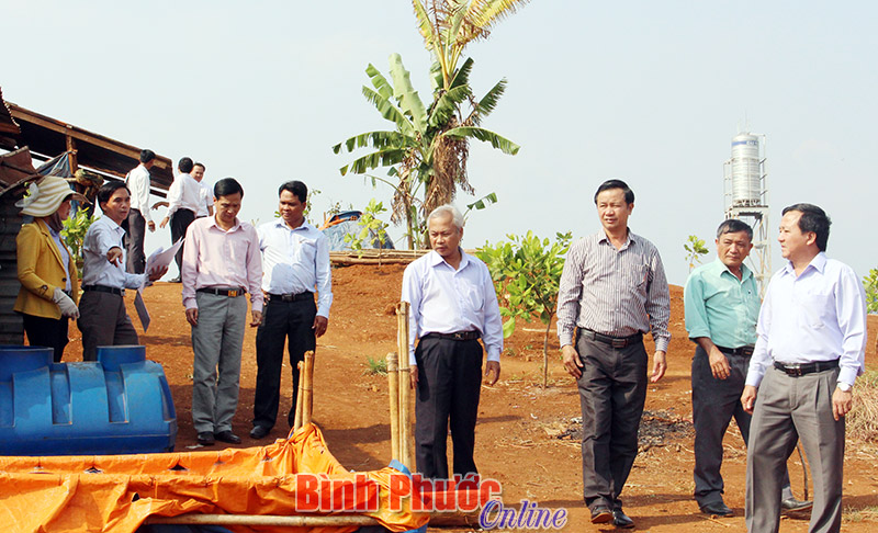 vietkieu08032017110814.jpg