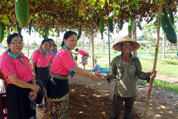 vietlao_1_06425813072022.jpeg