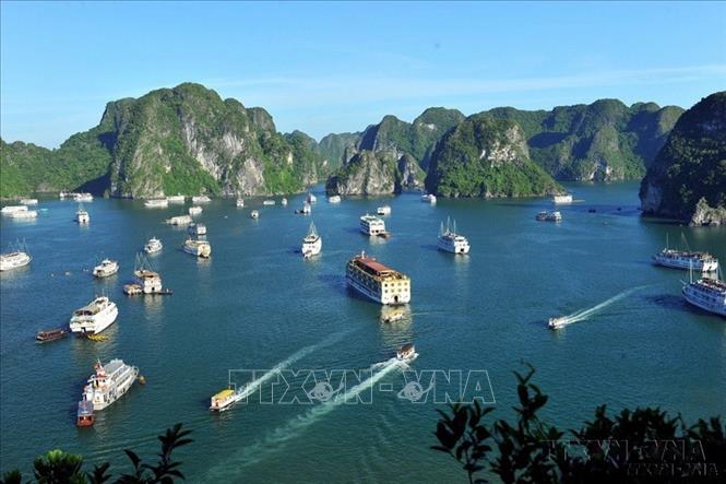 vinh_ha_long_02012024_12163102012024.jpeg